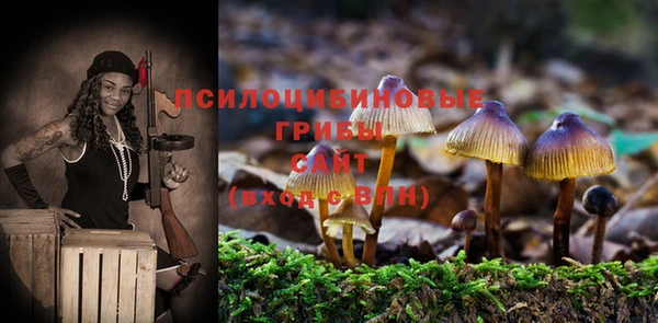 прущие крисы Рославль