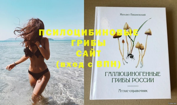 прущие крисы Рославль