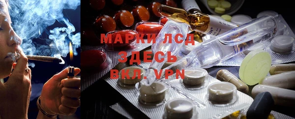 прущие крисы Абаза