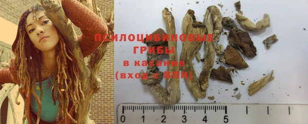 прущие крисы Рославль